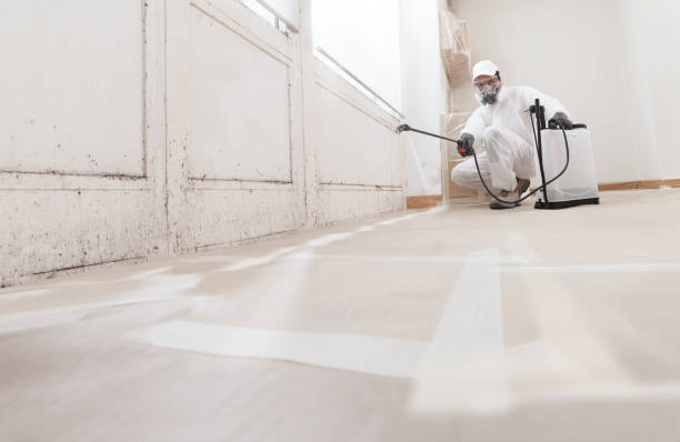 24/7 Emergency Commercial Mold Remediation experts in Entriken, PA