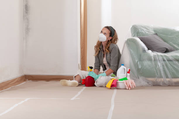 Reliable Commercial Mold Remediation contractor in Entriken, PA by WQB Mold Removal