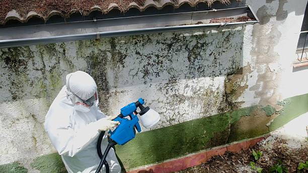 Top rated local Commercial Mold Remediation specialists in Entriken, PA
